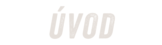 Úvod